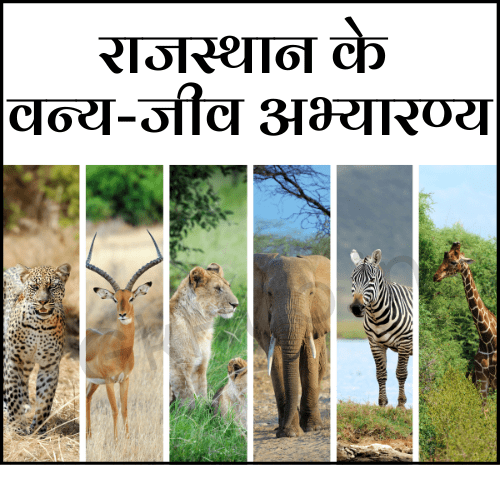 Rajasthan Ke Vanya Jeev Abhyaran